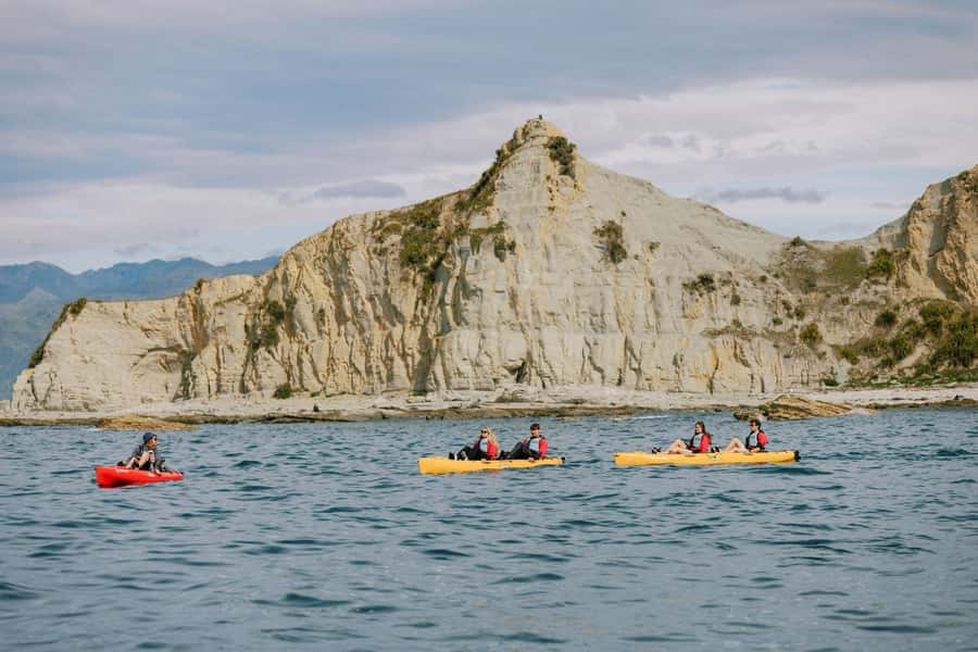 Kaikoura: Seal-Watching Pedal Kayak Tour - Photography without losing control of the kayak