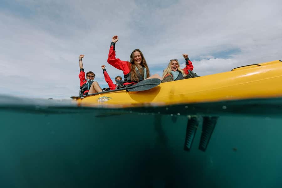 Kaikoura: Seal-Watching Pedal Kayak Tour - Meeting at 18 Beach Road