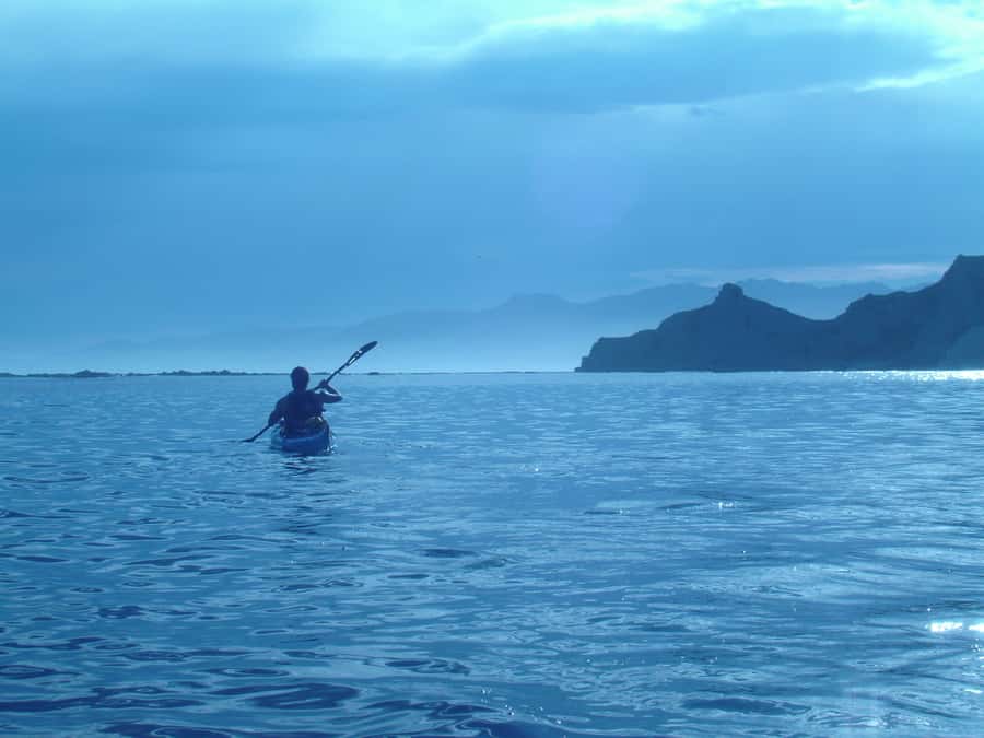 Kaikoura: Sunset Evening Kayaking Tour - What the $95 price really covers