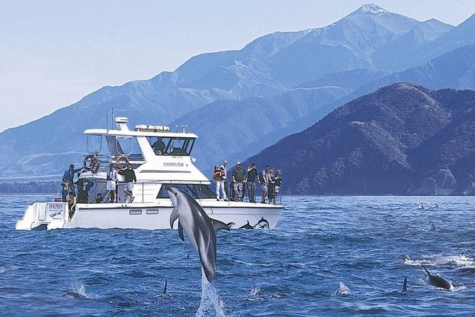 Kaikoura Swim with Dolphins Tour from Christchurch - Why Kaikoura is the right place for this