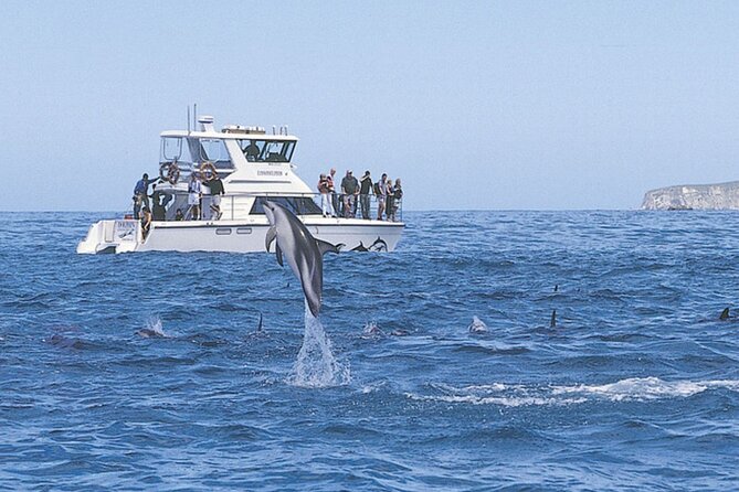 Kaikoura Whale and Dolphin Overnight Tour from Christchurch - From Christchurch to Kaikoura by coach
