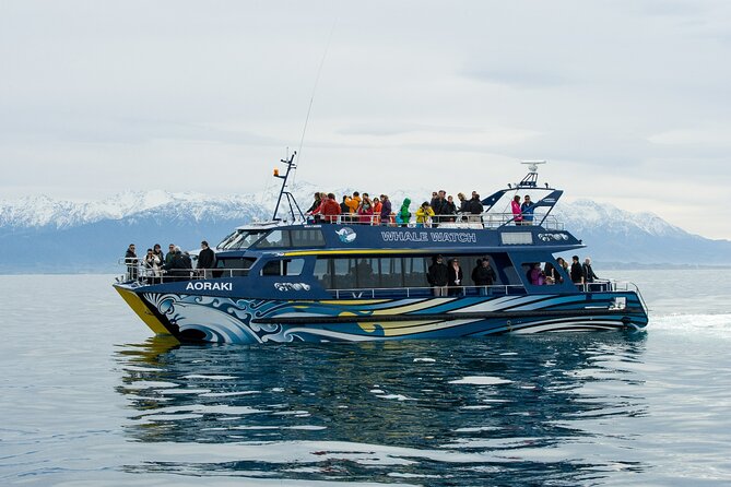 Kaikoura Whale and Dolphin Overnight Tour from Christchurch - Why the overnight stay improves the trip