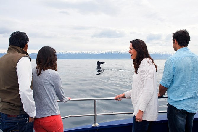 Kaikoura Whale Watch Day Tour from Christchurch - Leaving Christchurch at 7:00 am