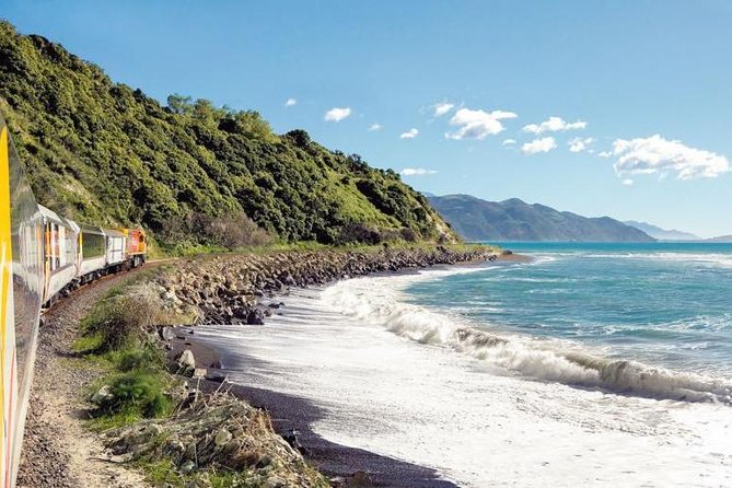 Kaikoura Whale Watch Day Tour from Christchurch including Coastal Pacific Train - Why Kaikoura makes this day trip special