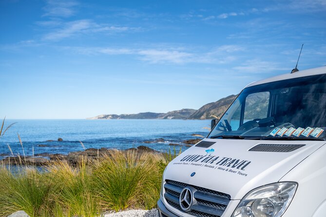 Kaikoura Whale Watch Tour from Christchurch - Small Group - Why this Christchurch day trip works