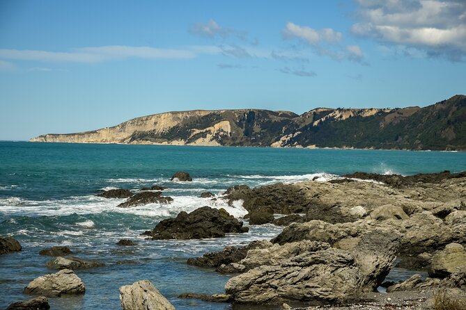 Kaikoura Whale Watch Tour from Christchurch - Small Group - What happens when the sea is too rough