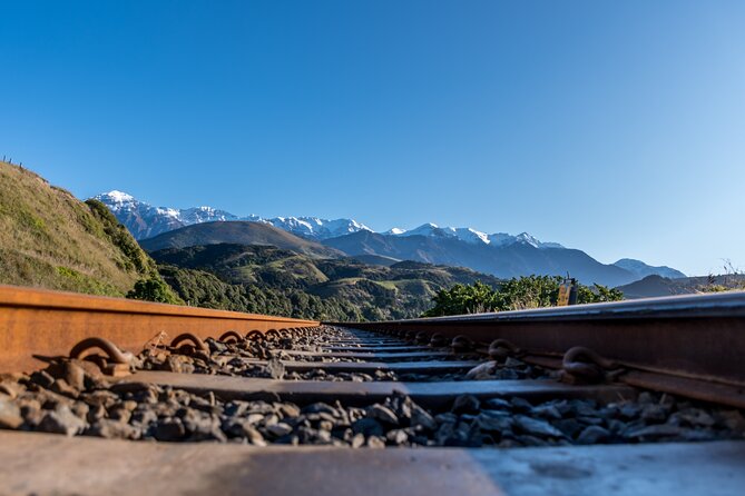Kaikoura Whale Watch Tour from Christchurch - Small Group - Waipara wine country on the return