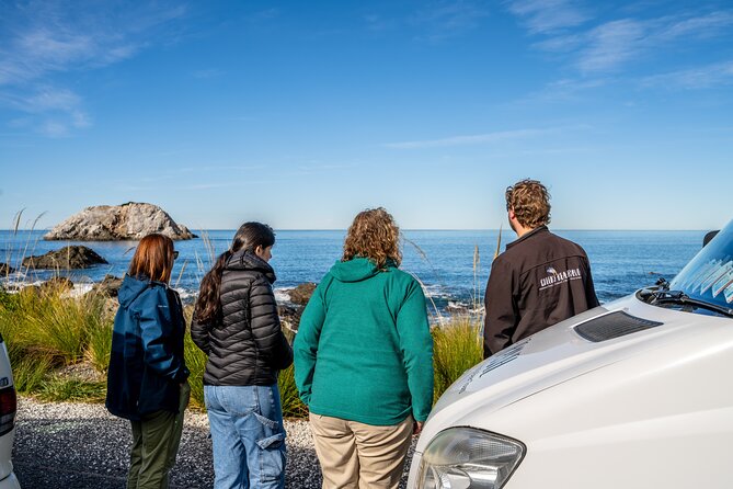 Kaikoura Whale Watch Tour from Christchurch - Small Group - Is $235.82 a fair price?