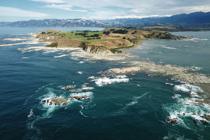 Kaikoura Whale Watch Tour from Christchurch - Small Group - Leaving Christchurch at 7:30 a.m.