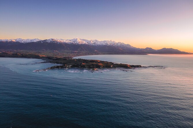 Kaikōura Whale Watching - 1hr 20min Ultimate Adventure - How the price measures up at $977.40