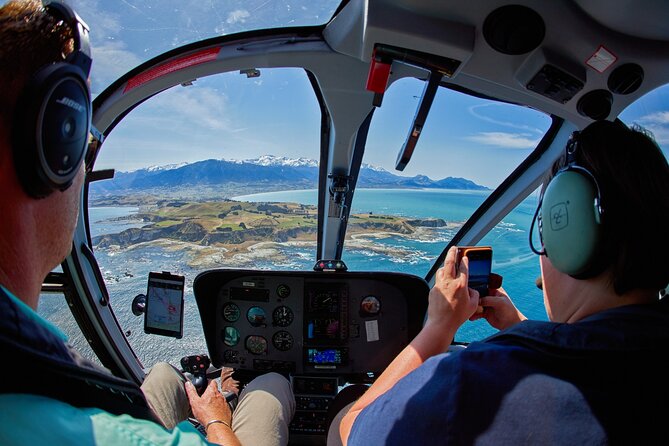 Kaikōura Whale Watching - 1hr 20min Ultimate Adventure - Timing, weather, and what to bring