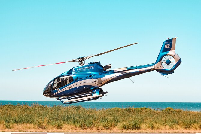 Kaikoura Whale Watching - 45 Minute Ocean Safari - The remote coastal landing