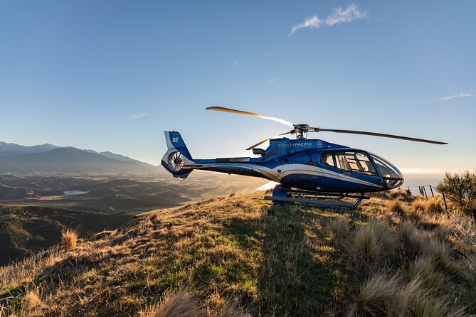 Kaikoura Whale Watching - 45 Minute Ocean Safari - Is $511.97 per person good value?