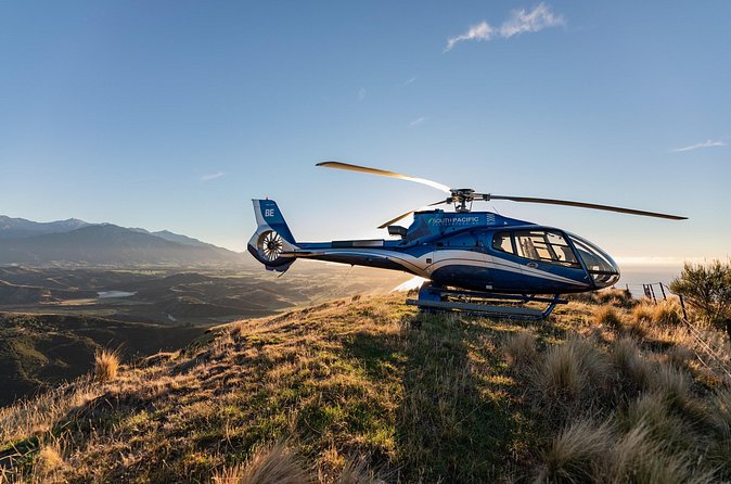 Kaikoura Whale Watching - 45 Minute Ocean Safari - Weather, weight, and other practical details