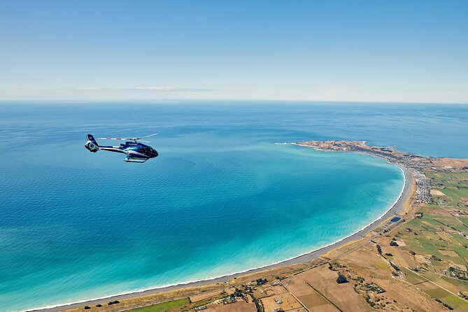 Kaikōura Whale Watching and Scenic Landing - 1hr Premier Tour - A small group makes the high price easier to understand
