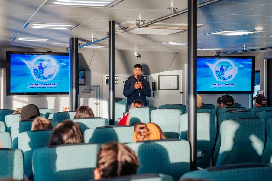 Kaikoura: Whale Watching Cruise - Key things to know before you book