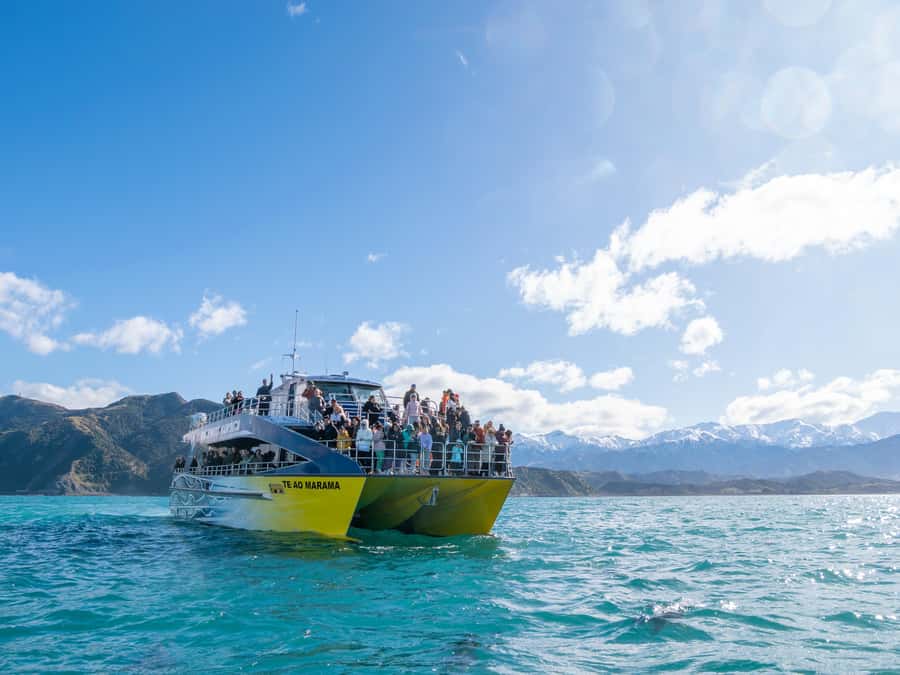 Kaikoura: Whale Watching Cruise - Why Kaikoura is a fine place to look for whales