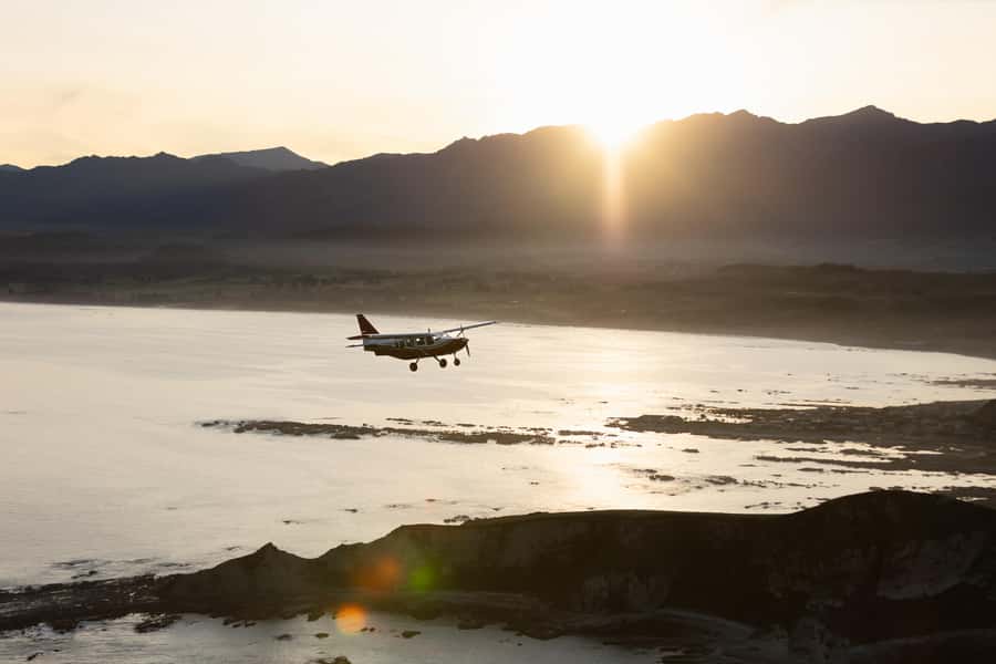 Kaikoura: Whale Watching Flight with Commentary - Why See Kaikoura’s Whales From the Air?