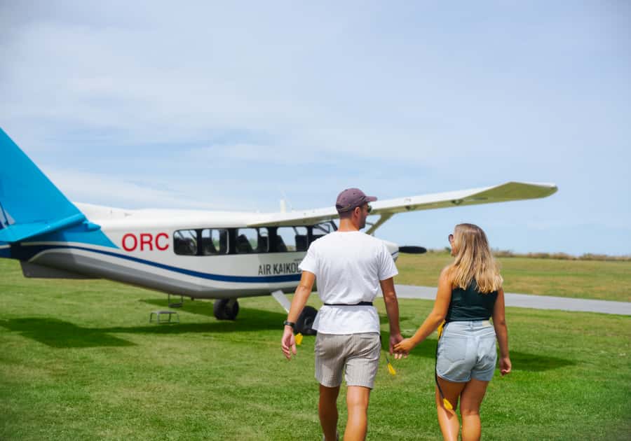Kaikoura: Whale Watching Flight with Commentary - Commentary From Pilots Who Know the Coast