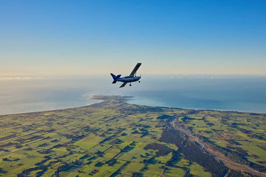 Kaikoura: Whale Watching Flight with Guided Commentary - Key points before you book
