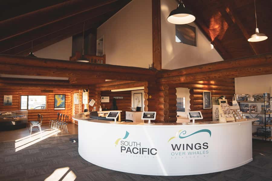 Kaikoura: Whale Watching Flight with Guided Commentary - Is $164 good value?