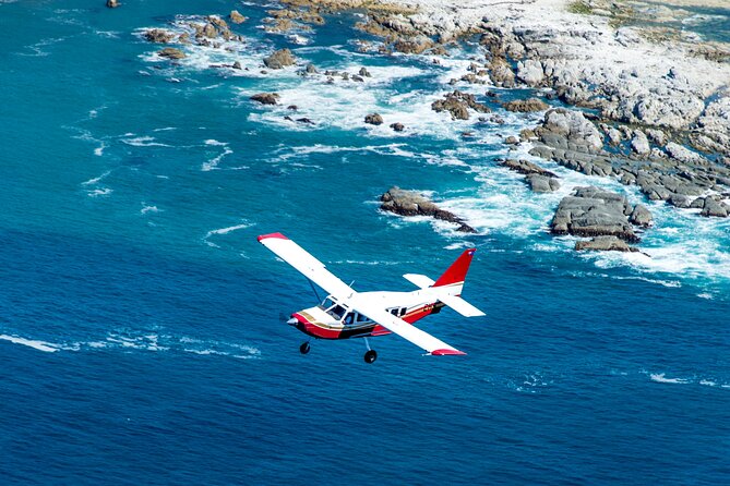 Kaikōura Whale Watching Scenic Flight (40 Minutes) - Practical tips for getting the most from it