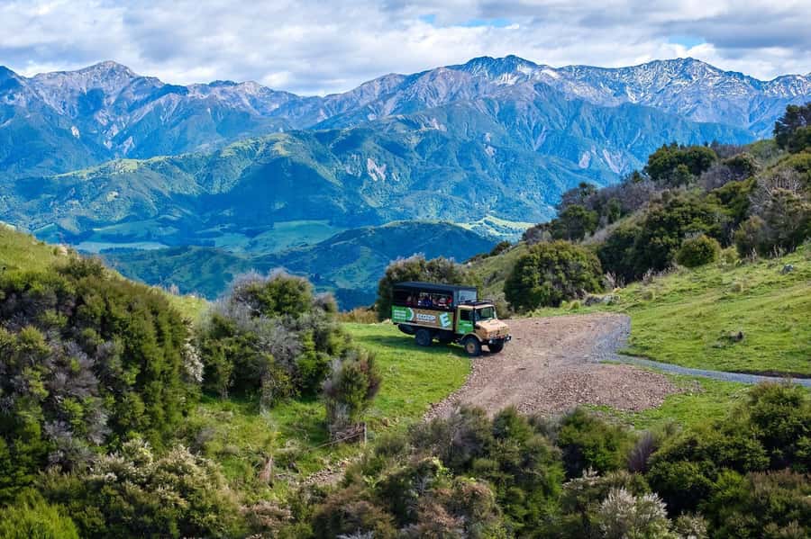 Kaikōura: Zipline and Native Forest Adventure Trip - Why this Kaikōura zipline feels different