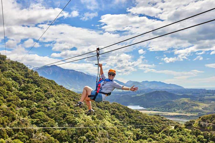 Kaikōura: Zipline and Native Forest Adventure Trip - A short walk through native New Zealand forest