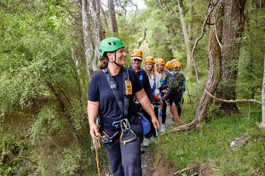 Kaikōura: Zipline and Native Forest Adventure Trip - Five ziplines from 250 to 620 metres