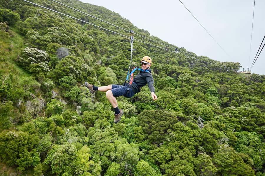 Kaikōura: Zipline and Native Forest Adventure Trip - How much physical effort is involved?