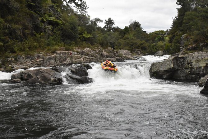 Kaituna Cascades - Grade 5 Wairoa River near Tauranga - The optional 5-meter cliff jump