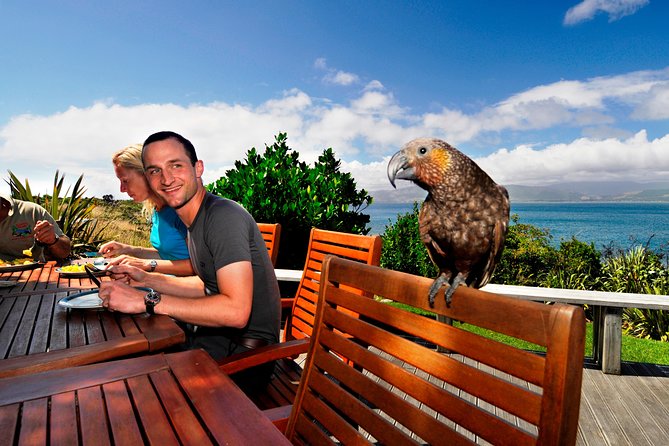 Kapiti Island Classic Guided Day Tour - Five things worth knowing before you book