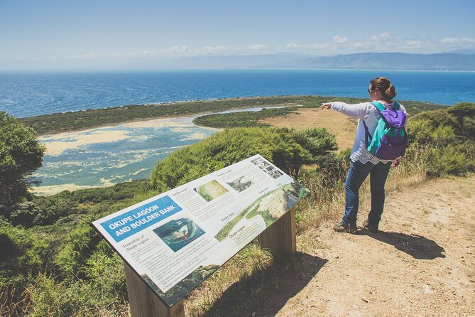 Kapiti Island Classic Guided Day Tour - Starting at Paraparaumu Beach at 8:45 am