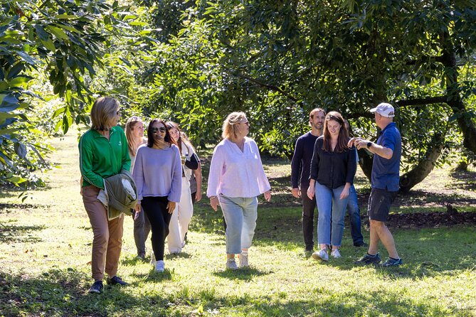 Katikati Avocado Adventure - Starting at the orchard near Tauranga
