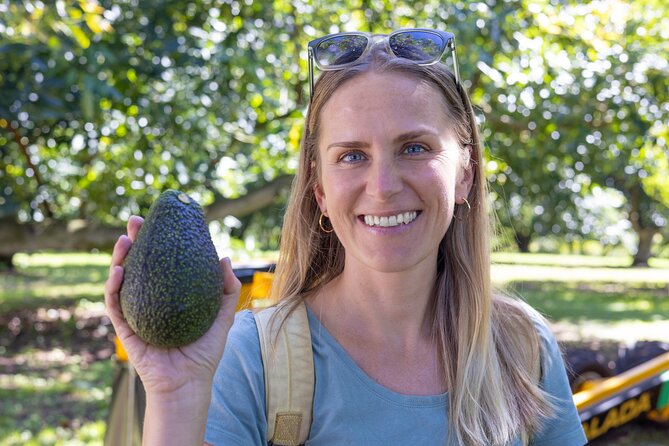 Katikati Avocado Adventure - The harvesting machine brings the lesson to life