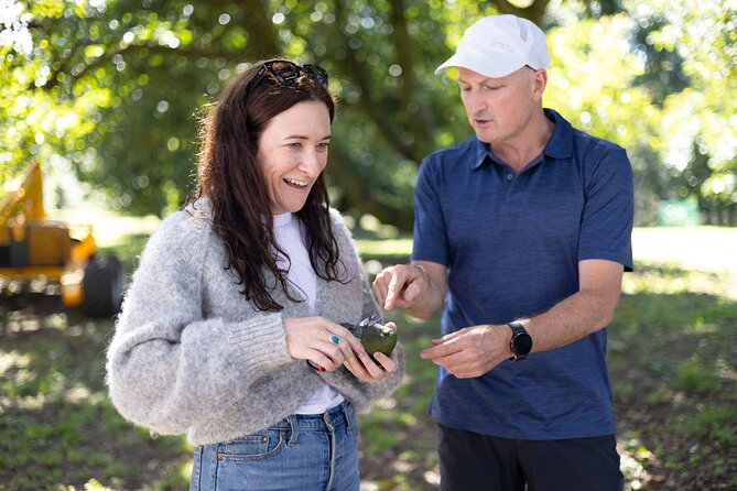 Katikati Gourmet Avocado Tasting - Picking your own avocado when the season allows