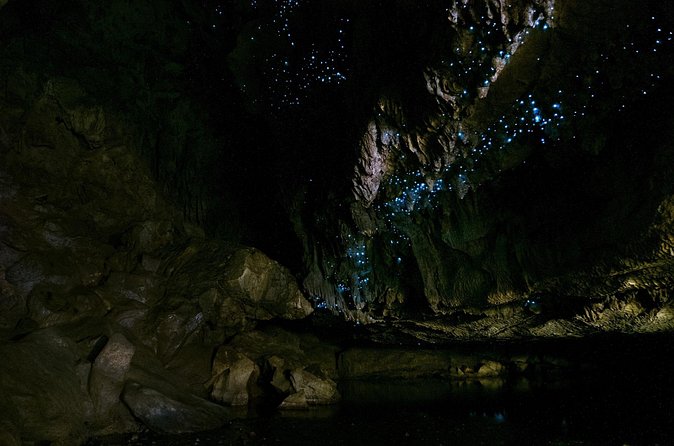 Kawiti Family Glowworm Caves Guided Tour in Bay of Islands - Is $96.19 a fair price?