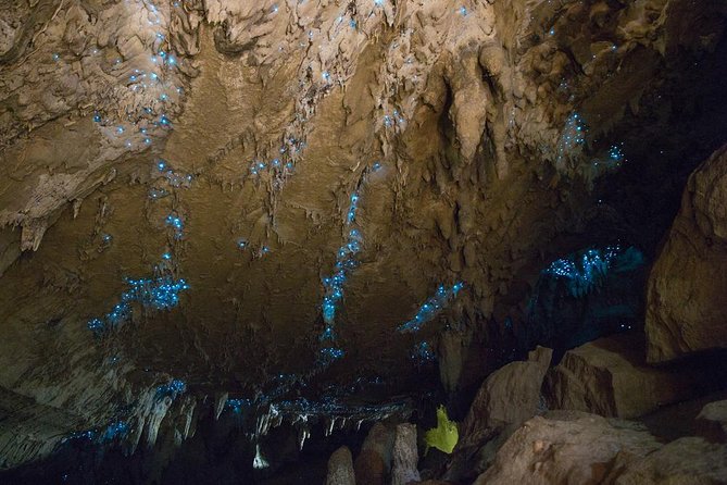 Kawiti Glow Worm Cave Tour & Opua Forest Walk - Inside the Kawiti Glow Worm Caves