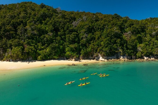Kayak & Pitt Head Nature Loop - Guided Kayak & Unguided Walk - New Zealand - The Pitt Head Nature Loop at your own pace