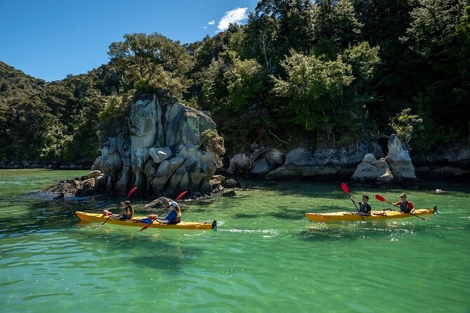 Kayak & Pitt Head Nature Loop - Guided Kayak & Unguided Walk - New Zealand - Is $164.45 good value?