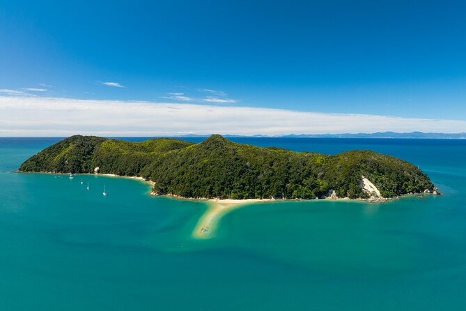 Kayak & Pitt Head Nature Loop - Guided Kayak & Unguided Walk - New Zealand - What the guides add