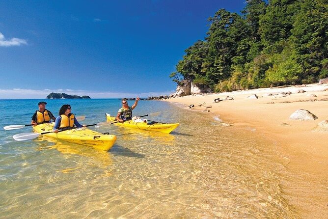 Kayak & Pitt Head Nature Loop - Guided Kayak & Unguided Walk - New Zealand - Kayaking the Astrolabe coastline with a guide