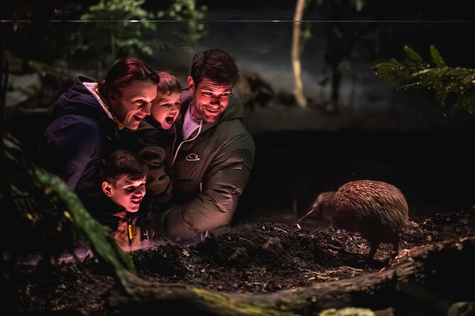 Kiwi Park Queenstown Admission - A small park with a very big New Zealand subject