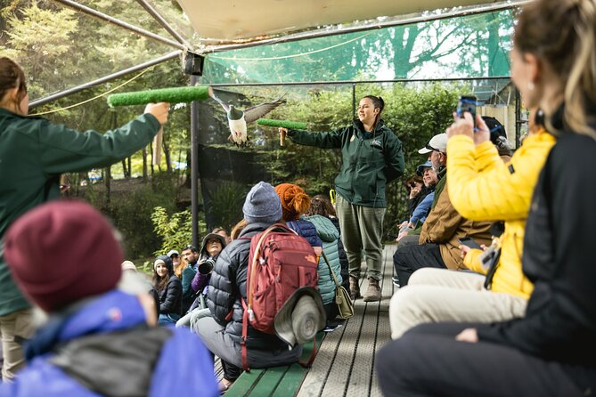 Kiwi Park Queenstown Admission - Seeing a kiwi means accepting the darkness