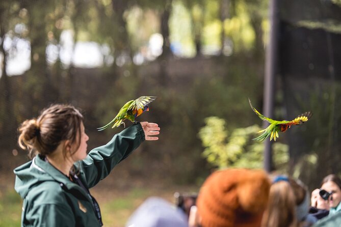 Kiwi Park Queenstown Admission - A practical Queenstown half-day