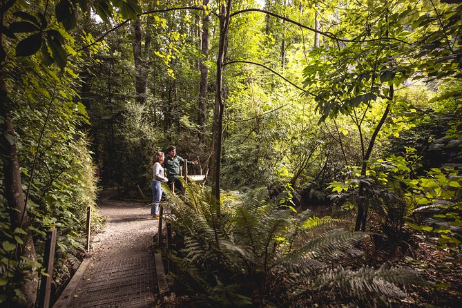 Kiwi Park Queenstown Admission - Who will enjoy Kiwi Park most