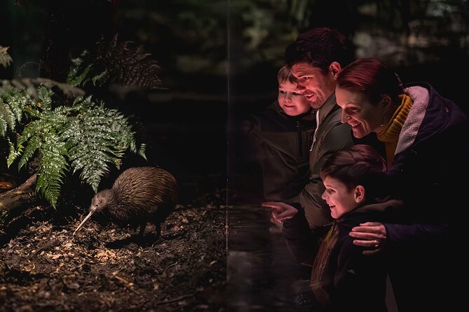 Kiwi Park Queenstown Admission - The conservation show brings the park to life