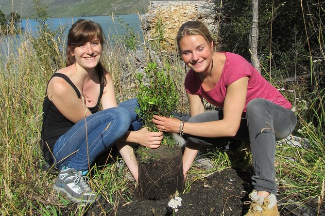 Lake Cruise & Mou Waho Island Nature Walk - Key points about the Mou Waho experience