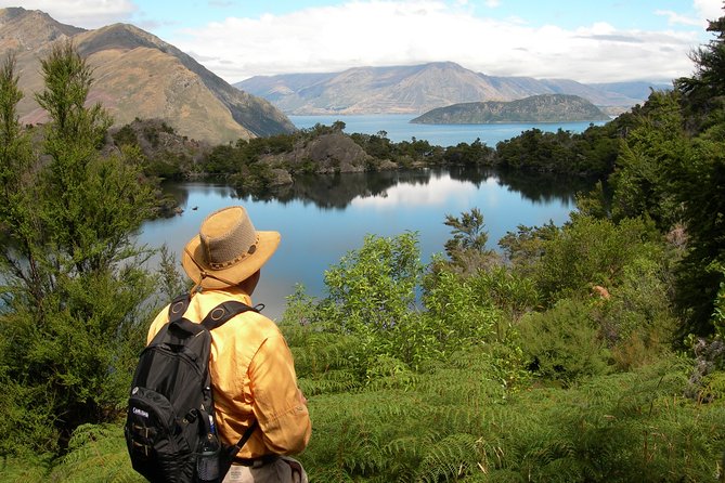 Lake Cruise & Mou Waho Island Nature Walk - Walking to Mou Waho’s island lake
