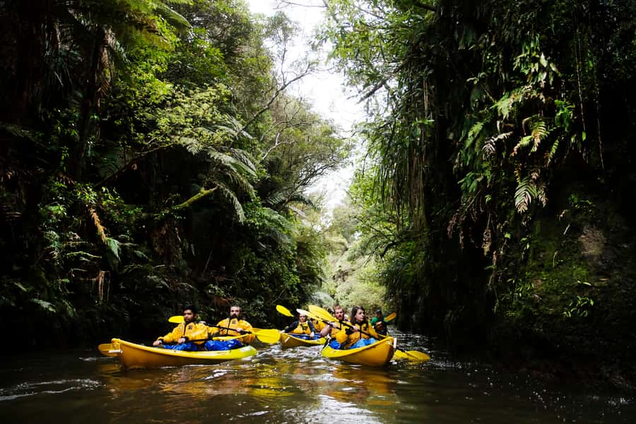 Lake Karapiro: Evening Kayak Glowworm Tour - Starting at Riverside Adventures Base in the late afternoon
